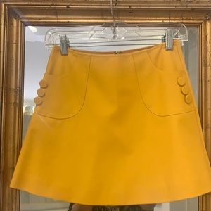 Mustard Yellow Skirt